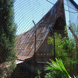 SDWAP - Tiger Trail - Log Walk