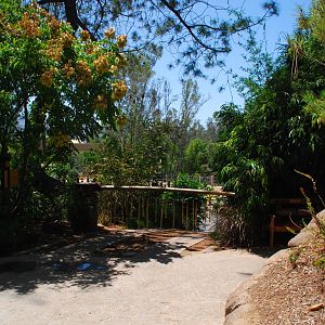 SDWAP - Tiger Trail - Walkway