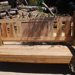 SDWAP - Tiger Trail - Logging Camp Playground