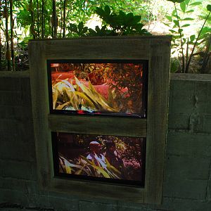 SDWAP - Tiger Trail - Pondok