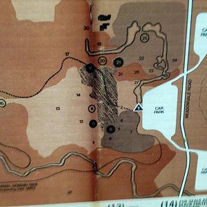 Toronto Zoo Original Map