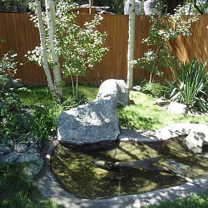 Turtle Exhibit (3 Species)