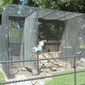 Hawk + Quail Exhibits