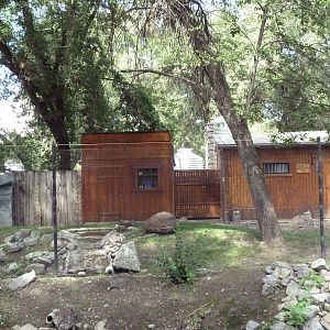 Grey Crowned Crane Exhibit