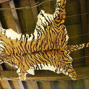 SDWAP - Tiger Trail -  Pondok