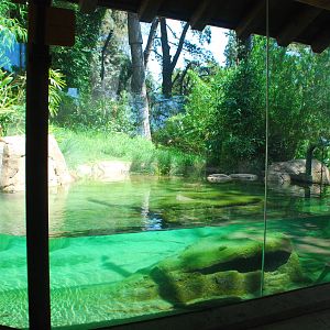 SDWAP - Tiger Trail - Split level water viewing