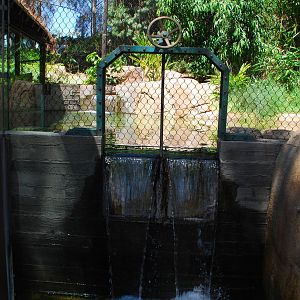 SDWAP - Tiger Trail - Wier