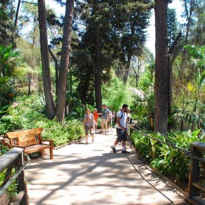 SDWAP - Tiger Trail - Walkway