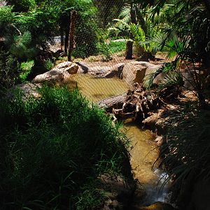 SDWAP - Tiger Trail - Pool