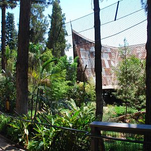 SDWAP - Tiger Trail - Longhouse