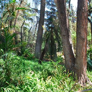 SDWAP - Tiger Trail - Second enclosure