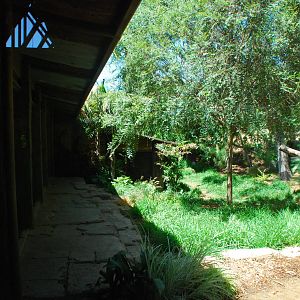 SDWAP - Tiger Trail - Sumatran Longhouse