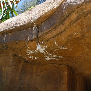 SDWAP - Tiger Trail - Waterfall