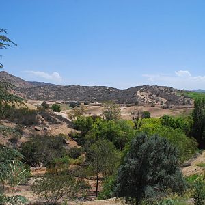 SDWAP - Tiger Trail - Asian Savanna