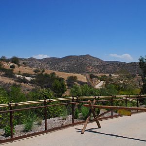 SDWAP - Tiger Trail - Asian Savanna