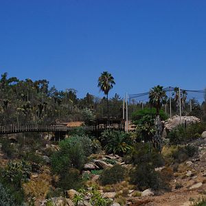 SDWAP - Tiger Trail - view to Condor Ridge