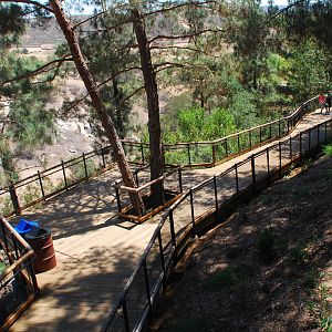 SDWAP - Tiger Trail - Condor Ridge Walkway