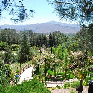 SDWAP - Tiger Trail - Ending