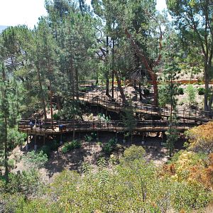 SDWAP - Tiger Trail - New Condor Ridge Walkway