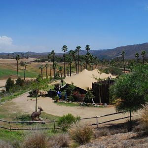 SDWAP - Watering Hole