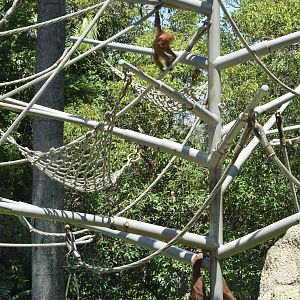 10 month old Aisha is getting more confident!