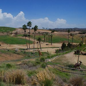 SDWAP - Watering Hole Lounge