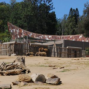 SDWAP - Elephant Exhibit - Sumatran Longhouse