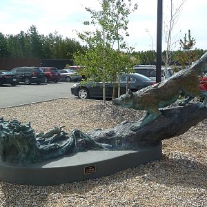 Parking Lot Wolf Statue