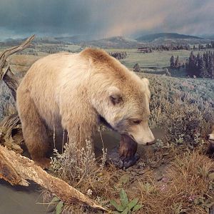 Visitor Center Diorama