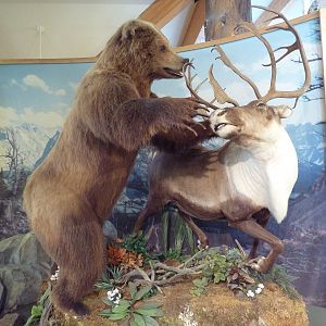 Visitor Center Diorama