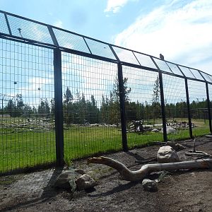 Grizzly Bear Exhibit
