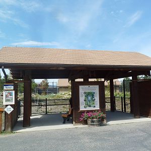 Grey Wolf Exhibit #1