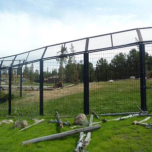 Grizzly Bear Exhibit