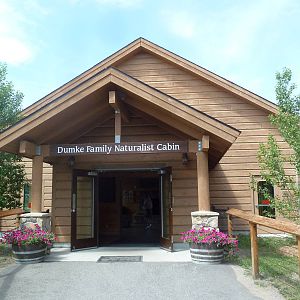 Viewing Shelter for Grey Wolf Exhibits #1 and #2