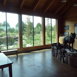 Grey Wolf Exhibit #2