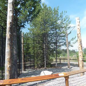 Empty Raptor Exhibit