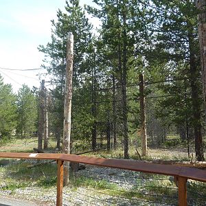 Empty Raptor Exhibit