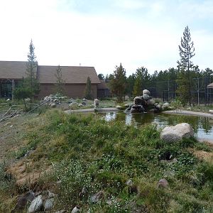 Grey Wolf Exhibit #1