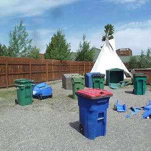 Bear Destroyed Garbage Cans