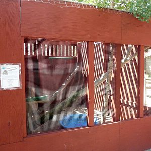 Barred Owl Aviary