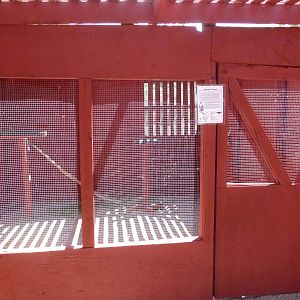 Peregrine Falcon Aviary