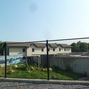 American Black Bear Exhibit