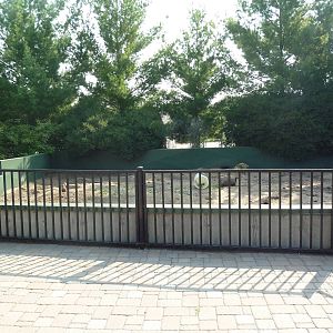 Black-Tailed Prairie Dog Exhibit