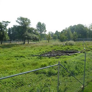 American Bison/Pronghorn Antelope Exhibit