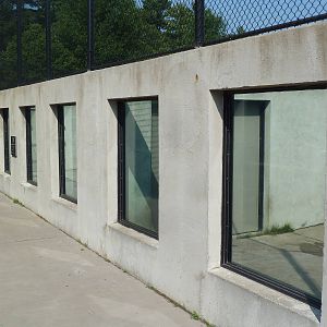 American Black Bear Exhibits (3 of them)