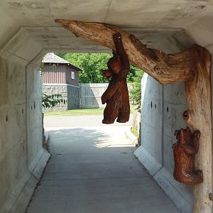 American Black Bear Exhibit - Visitor Tunnel