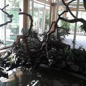 American walk-through section