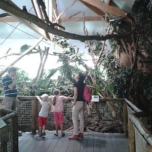 American walk-through section