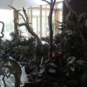 American walk-through section