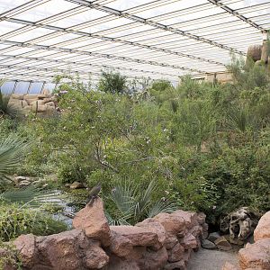 View of Burgers Desert, 8/15/14